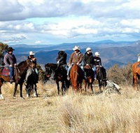 Snowy Wilderness - Food Delivery Shop