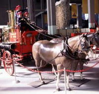 Museum of Fire - Food Delivery Shop