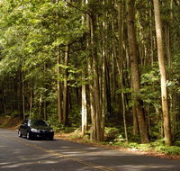 Greater Blue Mountains drive - Food Delivery Shop