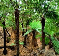 Pegarah Private Nature Reserve  Parenna Place - Pet Food Australia