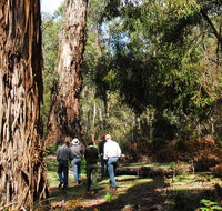 Tallaganda National Park - Food Delivery Shop