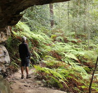 Dharug National Park - Food Delivery Shop