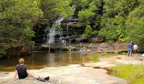 Somersby Falls Picnic Area - Pet Food Australia 0