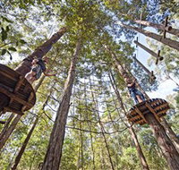 TreeTop Adventure Park Central Coast - Food Delivery Shop
