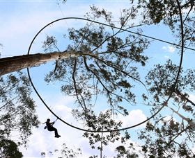 TreeTops Crazy Rider - Food Delivery Shop 0