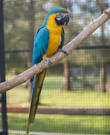 Amazement Farm And Fun Park / Cafe And Farmstay Accommodation - Food Delivery Shop 8