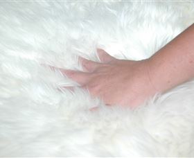 Mortels Sheepskin Factory - Food Delivery Shop 4