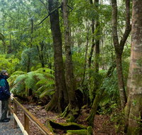 Monga National Park - Food Delivery Shop