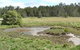 Boondall Wetlands Reserve - thumb 1