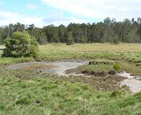 Boondall Wetlands Reserve - Food Delivery Shop 1