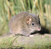 Munmorah State Conservation Area - Food Delivery Shop