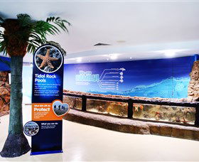Sea Life Sunshine Coast - Food Delivery Shop 2
