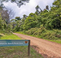 Antarctic Beech picnic area - Food Delivery Shop
