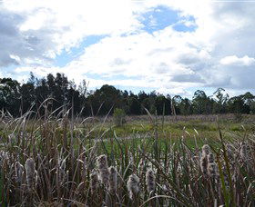 Jabiru Geenbeebeinga Wetlands - Food Delivery Shop 1