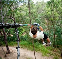 TreeTop Challenge - Pet Food Australia