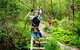 TreeTop Challenge - thumb 1