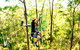 TreeTop Challenge - thumb 3