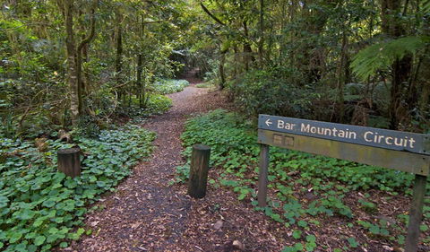 Bar Mountain Circuit - Food Delivery Shop 0