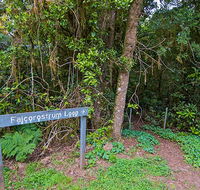 Falcorostrum loop walking track - Food Delivery Shop