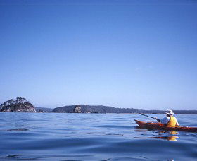 Kayaking Batemans Bay - Food Delivery Shop 0