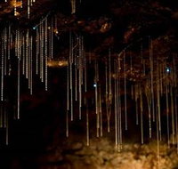 Tamborine Mountain Glow Worm Caves - Food Delivery Shop