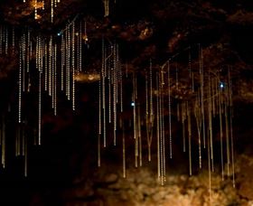 Tamborine Mountain Glow Worm Caves - Food Delivery Shop 0