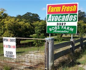 The Avocado Farm - Food Delivery Shop 3