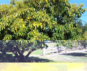 The Avocado Farm - Food Delivery Shop 2