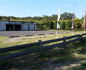 The Avocado Farm - Food Delivery Shop 4