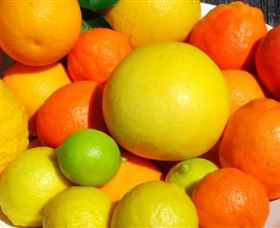 Fruit Salad Tree Company - Food Delivery Shop 2