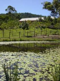 Mount Nathan Winery - Food Delivery Shop 2