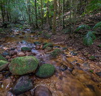 Starrs Creek picnic area - Food Delivery Shop