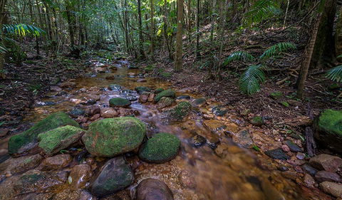 Starrs Creek Picnic Area - Food Delivery Shop 0