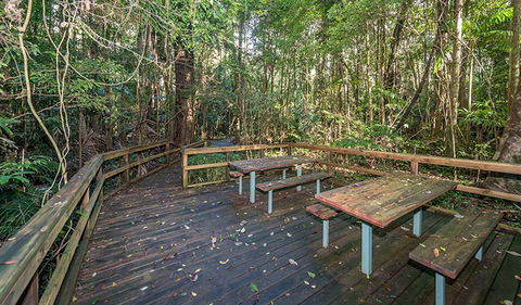 Starrs Creek Picnic Area - Food Delivery Shop 1