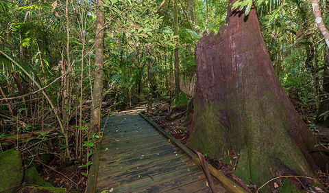 Starrs Creek Picnic Area - Food Delivery Shop 2