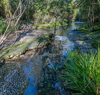 Dawson River walking track - Food Delivery Shop