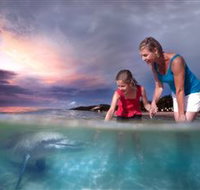 Tangalooma Dolphin Feeding - Food Delivery Shop