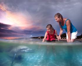 Tangalooma Dolphin Feeding - Food Delivery Shop 0