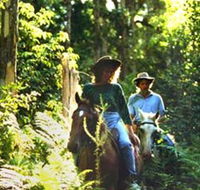 Clarendon Forest Retreat Horse Riding - Food Delivery Shop