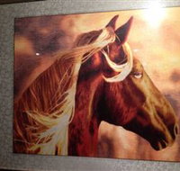 Silk Art Gallery - Pet Food Australia