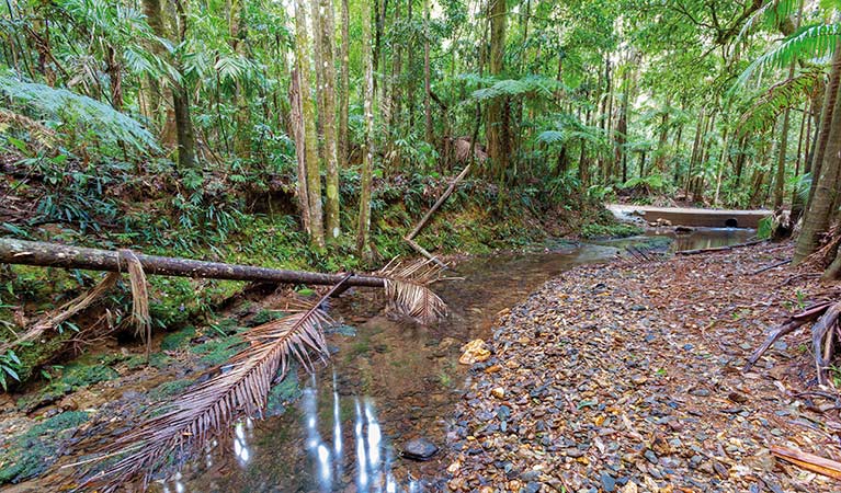 Karangi NSW Food Delivery Shop