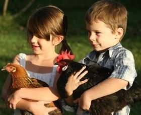 Summerland House Farm - House With No Steps - Food Delivery Shop 2
