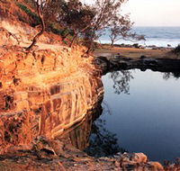 Angourie Blue Pool - Food Delivery Shop