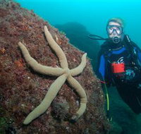 Cook Island Dive Site - Food Delivery Shop
