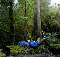 The Tarkine Drive - Food Delivery Shop