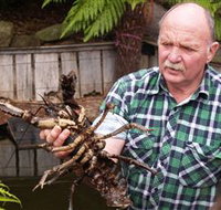 Lobster Ponds - Food Delivery Shop
