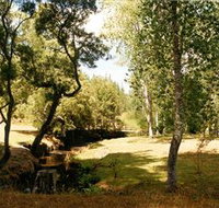 Oldina Picnic Area - Food Delivery Shop