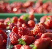 Turners Beach Berry Patch - Food Delivery Shop