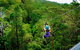 Canyon Flyer - thumb 1