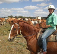 Myella Farm Stay Tours - Food Delivery Shop